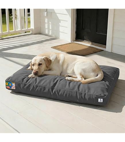 Amazon.com : Carhartt Durable Canvas Pet Bed, Water Resistant Firm
